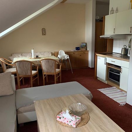 Apartament Apartman Viki Philippsreut Zewnętrze zdjęcie