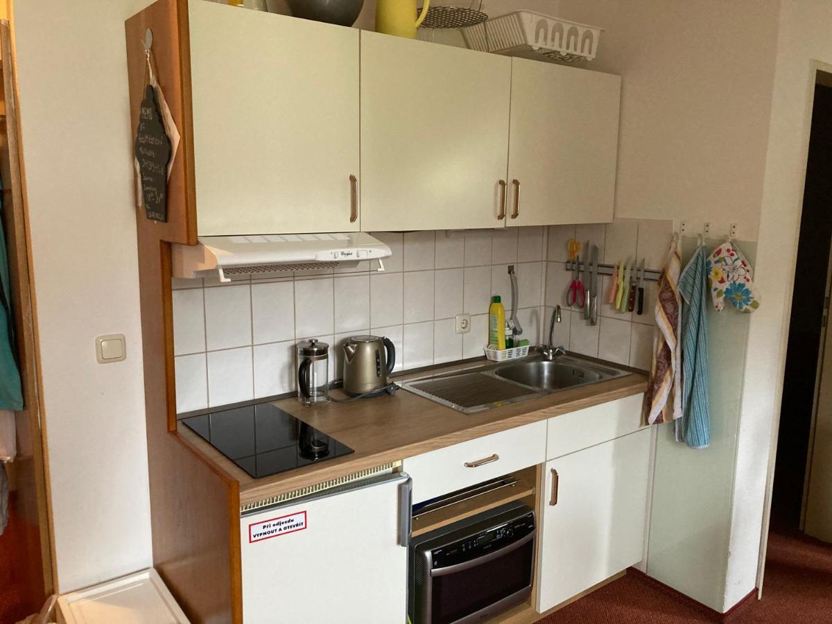 Apartament Apartman Viki Philippsreut Zewnętrze zdjęcie