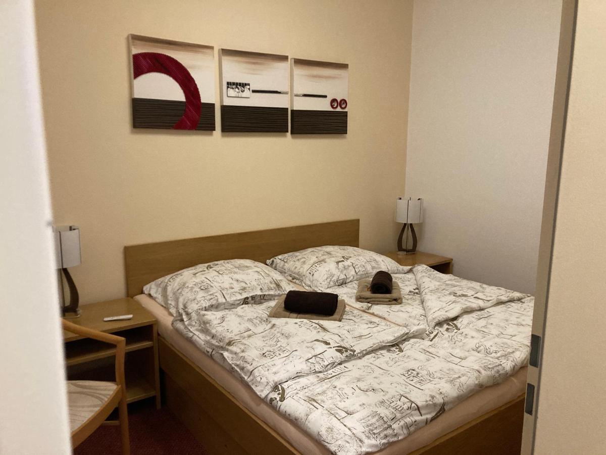 Apartament Apartman Viki Philippsreut Zewnętrze zdjęcie