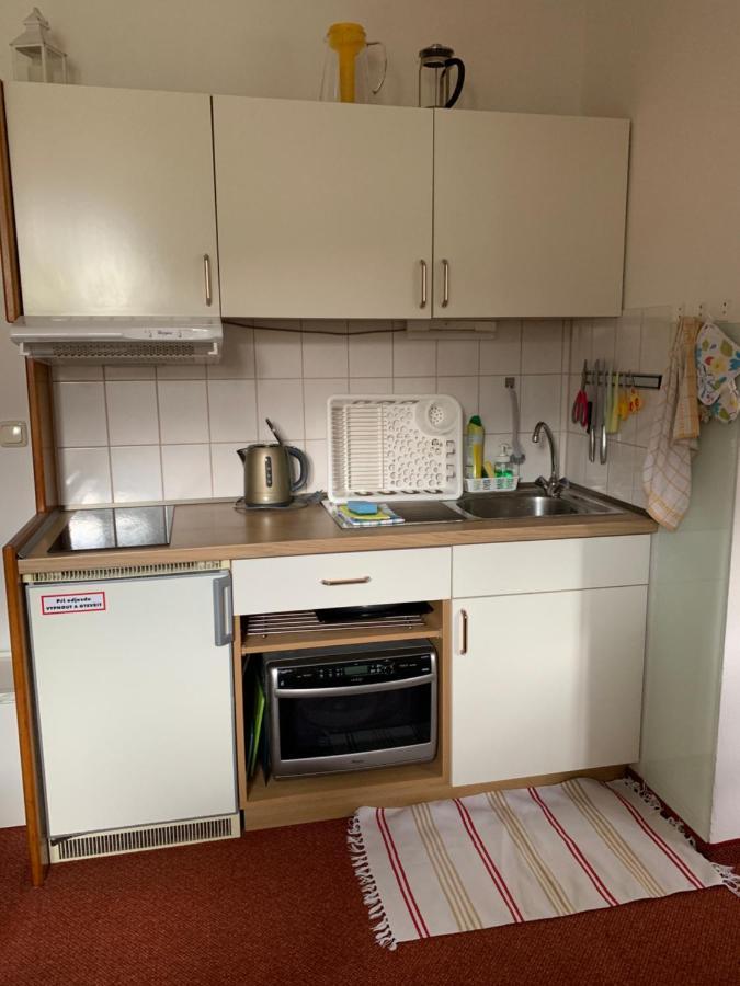 Apartament Apartman Viki Philippsreut Zewnętrze zdjęcie