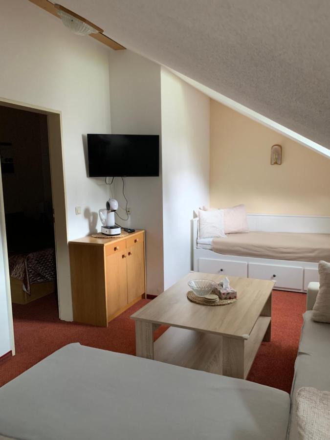 Apartament Apartman Viki Philippsreut Zewnętrze zdjęcie