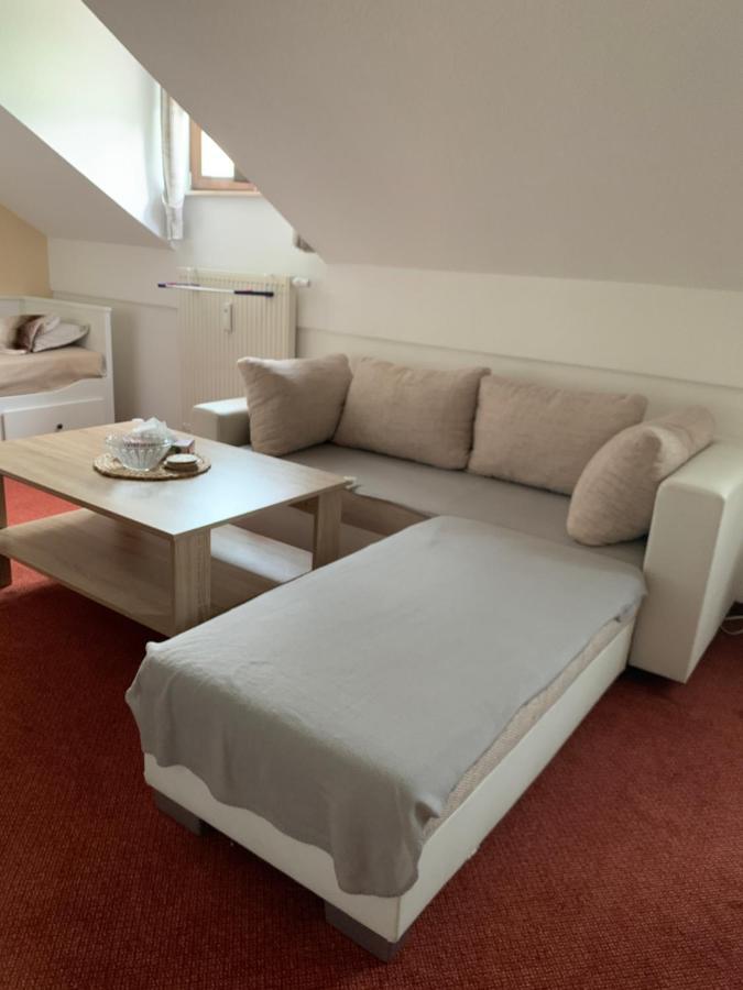 Apartament Apartman Viki Philippsreut Zewnętrze zdjęcie