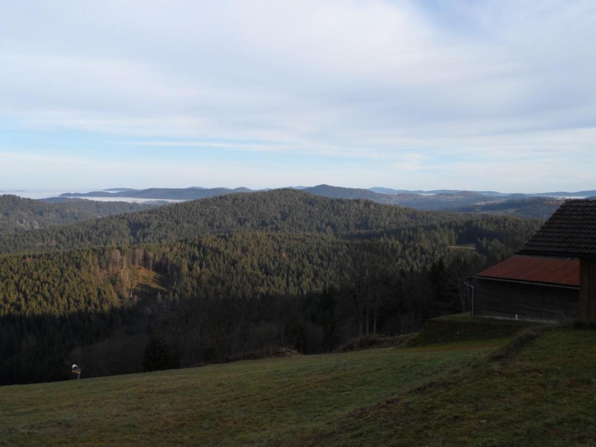 Apartament Apartman Viki Philippsreut Zewnętrze zdjęcie